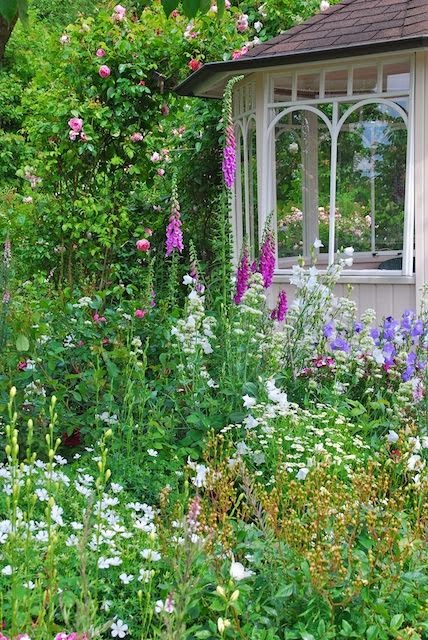 Arriba las flores del jardín